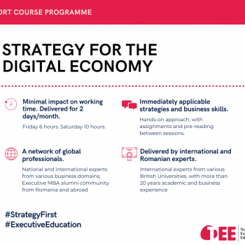 Cursul “Strategie pentru o economie digitală” - University of Suffolk 